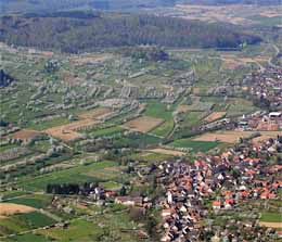 Kirschbaumblüte im Eggenertal