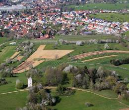 Es beginnt zu blühen an der Hohen Flum oberhalb von Schopfheim